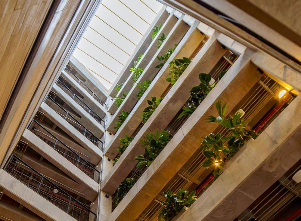 Cytrico Hotel Laureles Estadio Медельїн Екстер'єр фото